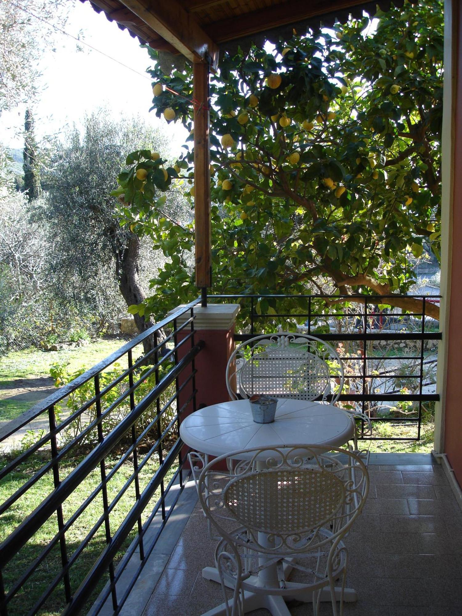 Bozikis Apartments & Studios Paleokasztríca Kültér fotó